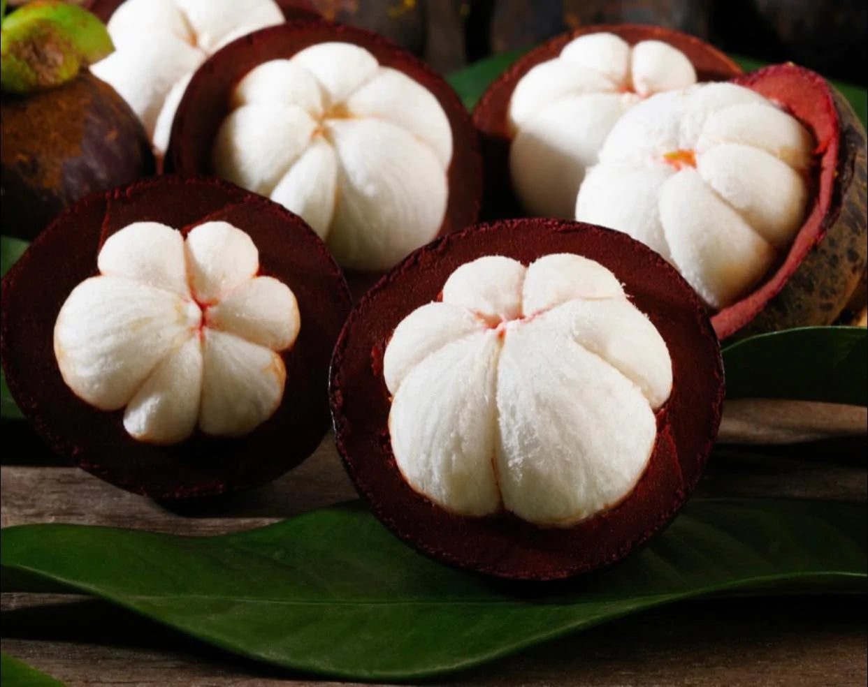 Garcinia mangostana