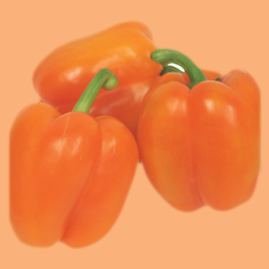 Capsicum Orange