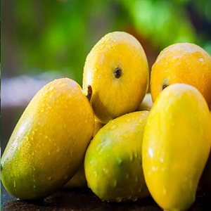 Kesar Mango